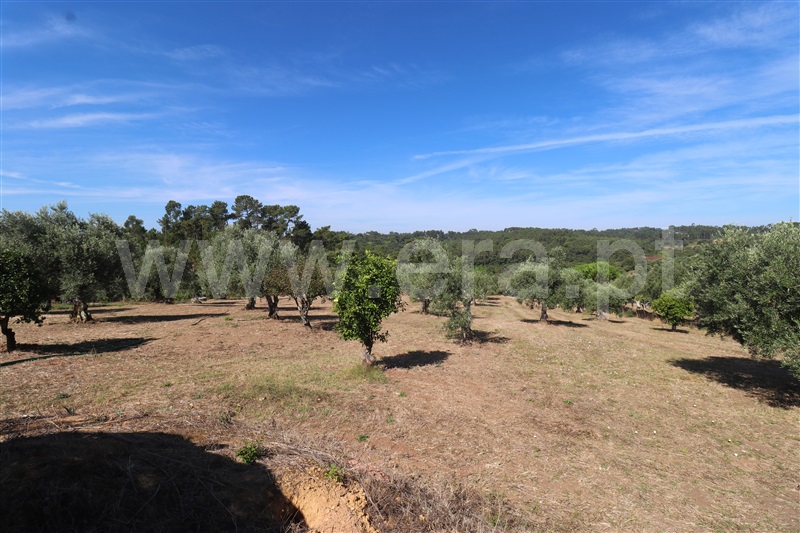 Moradia T2 Ourém, Seiça - 1427557 - 14