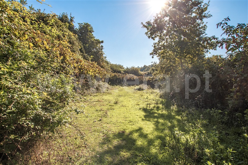 Moradia T2 Paredes de Coura, Agualonga - 1276076 - 7