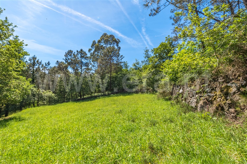 Moradia T3 Paredes de Coura, Cunha - 1483972 - 40