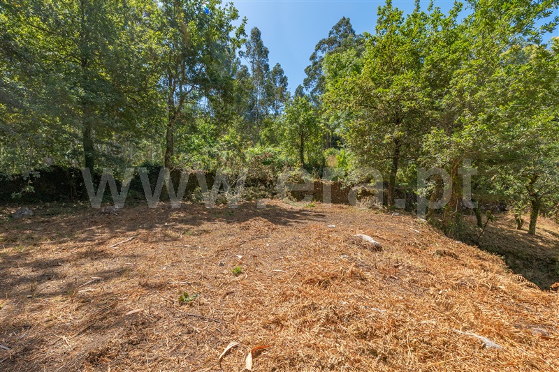 Moradia T3 Paredes de Coura, Formariz e Ferreira - 1492171 - 15