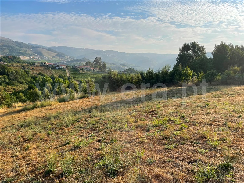 Moradia T2 à venda em Sedielos, Peso da Régua — foto 11