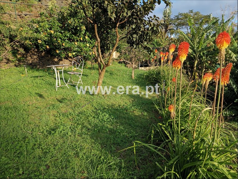Moradia T2 à venda em Canhas, Ponta do Sol — foto 8