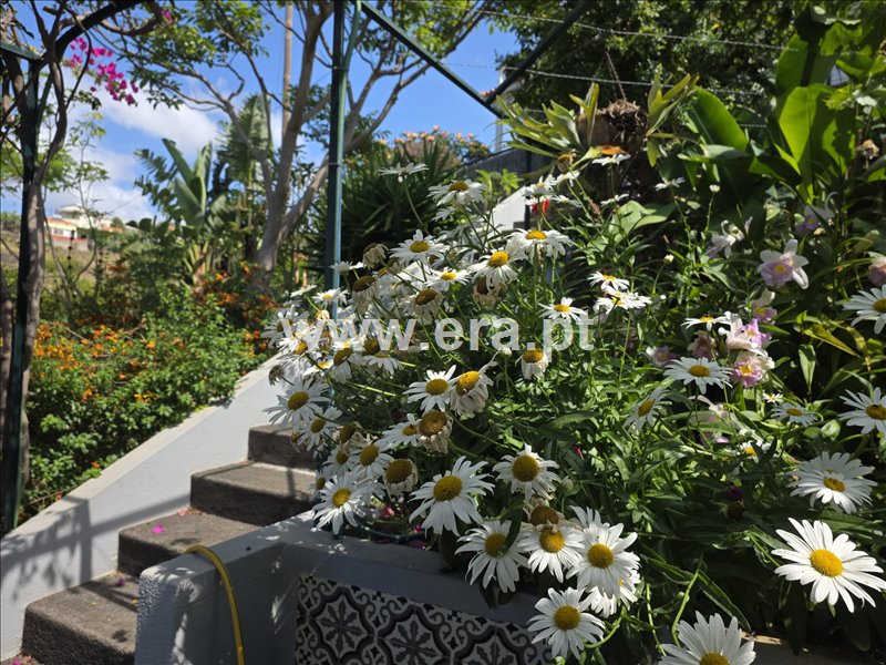 Moradia T2 à venda em Canhas, Ponta do Sol — foto 13