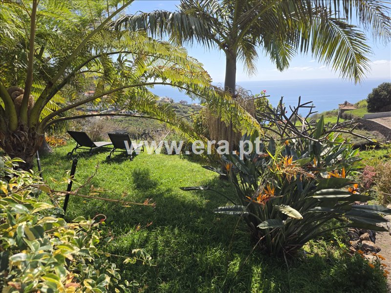 Moradia T2 à venda em Canhas, Ponta do Sol — foto 5