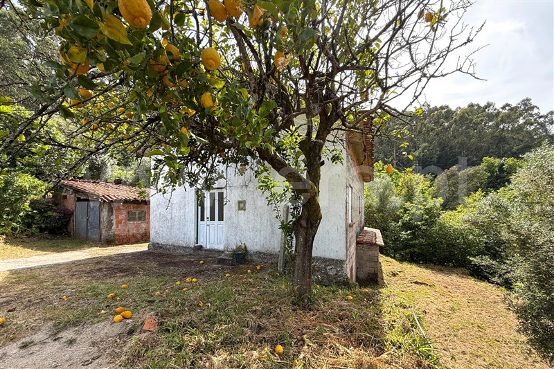 Moradia T2 Ponte de Lima, Facha - 1484406 - 3