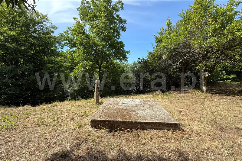 Moradia T2 Ponte de Lima, Facha - 1484406 - 5