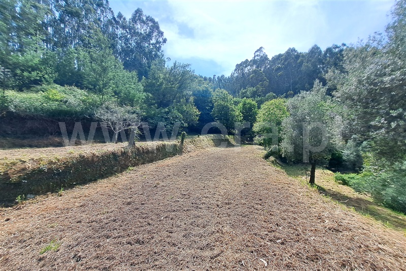 Moradia T2 Ponte de Lima, Facha - 1484406 - 20
