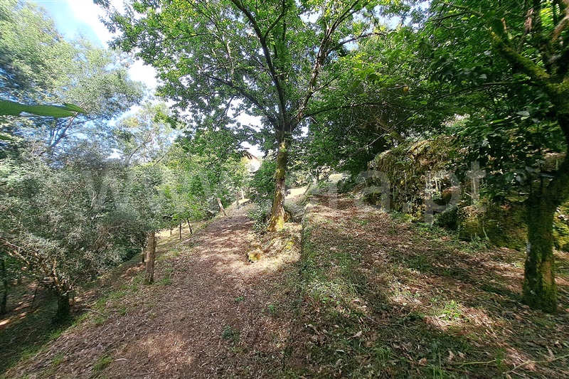 Moradia T2 Ponte de Lima, Facha - 1484406 - 22
