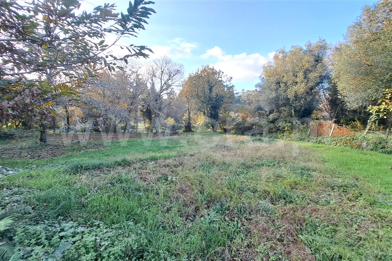 Moradia T2 Ponte de Lima, Gandra - 1446934 - 5