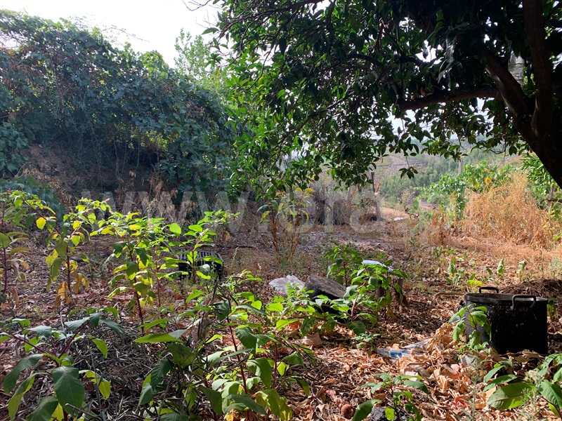Moradia T2 à venda em Sobreira Formosa e Alvito da Beira, Proença-a-Nova — foto 10