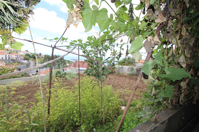 Moradia T2 à venda em Ribeira Brava, Ribeira Brava — foto 11