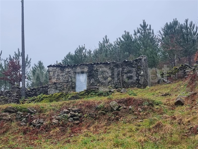 Moradia T2 / Ribeira de Pena, Ribeira de Pena (Salvador) e Santo Aleixo de Além-Tâmega
