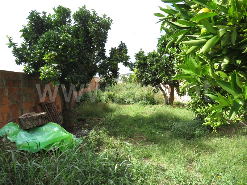 Moradia T2 Rio Maior - 1513333 - 12