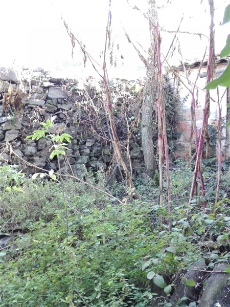 Moradia T2 Santa Marta de Penaguião, Alvações do Corgo - 1458183 - 10