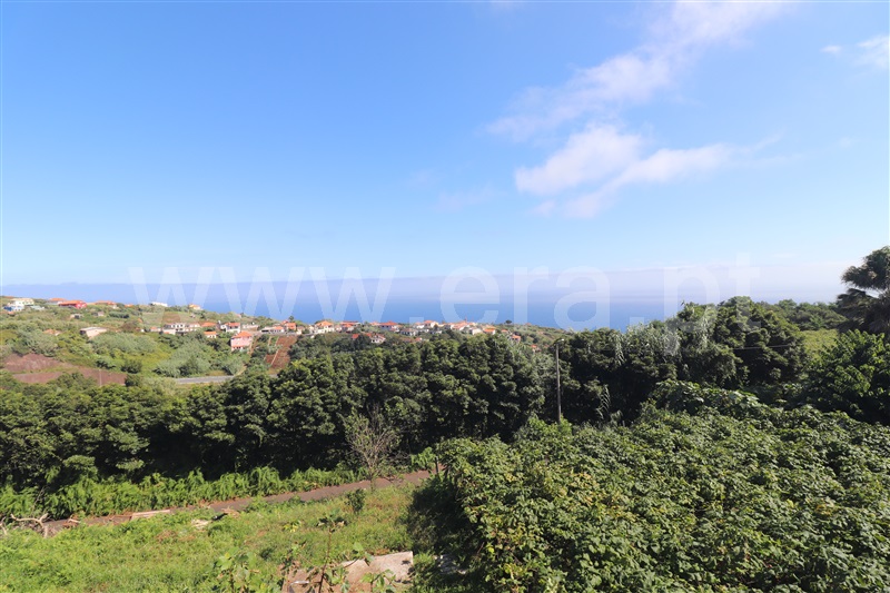 Moradia T2 Santana, São Jorge - 1507538 - 15