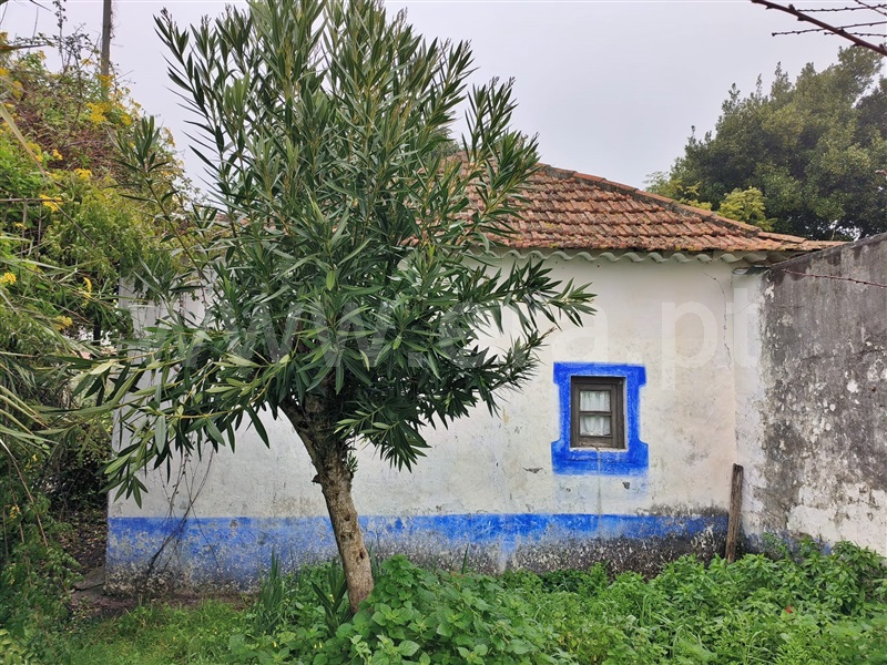 Moradia T2 / Santarém, Abitureiras