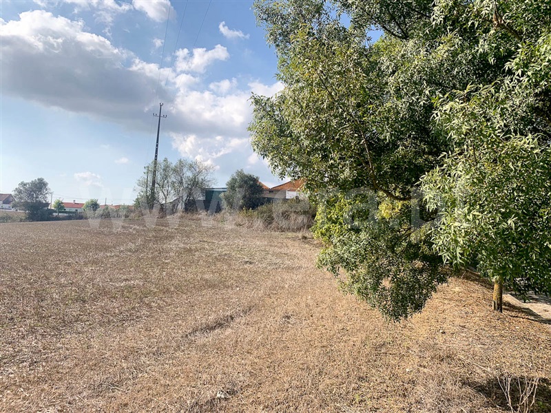 Moradia T2 à venda em Casais da Aroeira, Santarém — foto 12