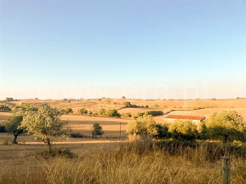 Moradia T2 à venda em Casais da Aroeira, Santarém — foto 10