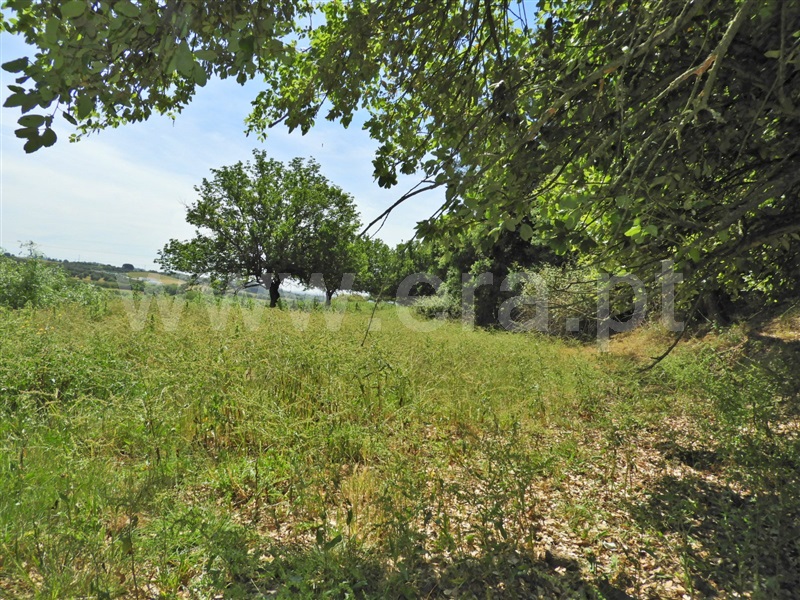 Moradia T2 à venda em Póvoa da Isenta, Santarém — foto 6