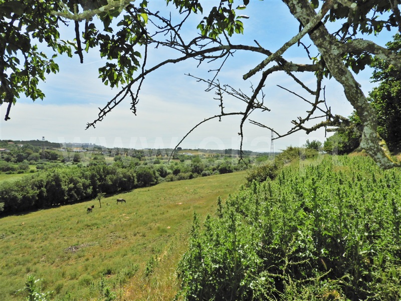 Moradia T2 à venda em Póvoa da Isenta, Santarém — foto 8