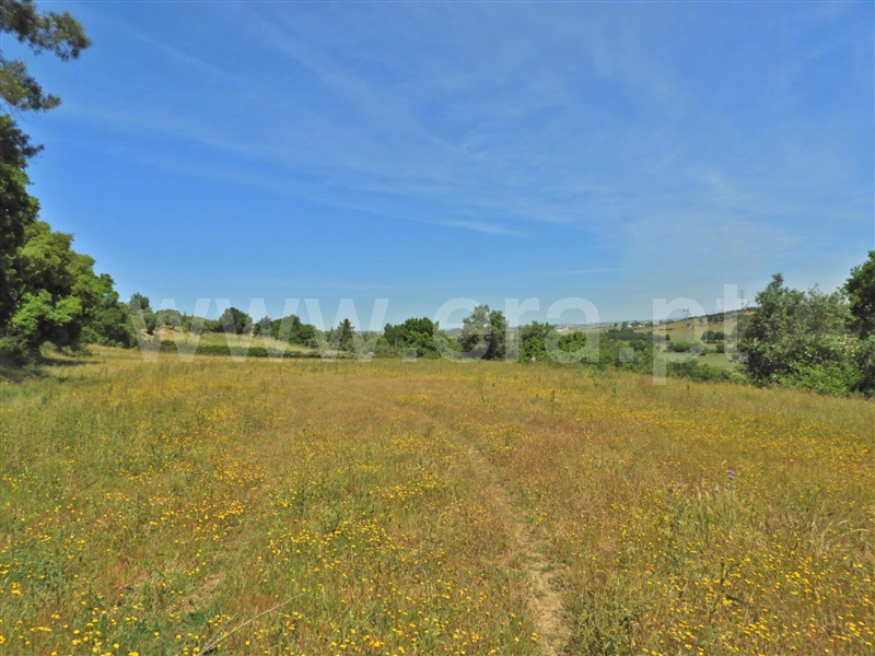 Moradia T2 à venda em Póvoa da Isenta, Santarém — foto 11