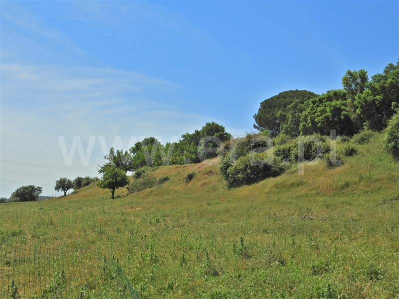 Moradia T2 à venda em Póvoa da Isenta, Santarém — foto 18