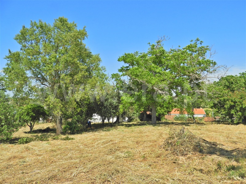 Moradia T2 Santarém, Póvoa de Santarém - 1405439 - 14