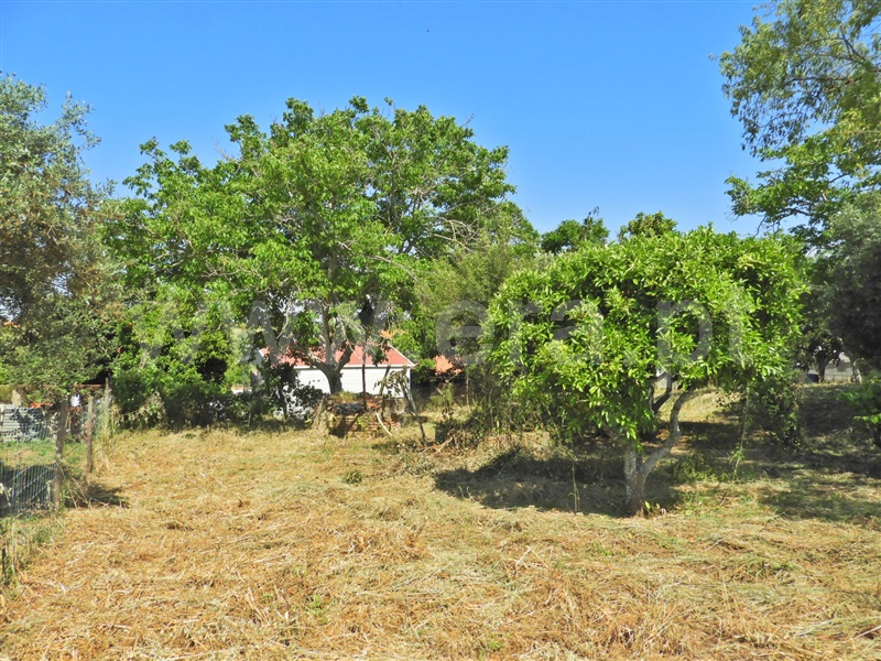Moradia T2 Santarém, Póvoa de Santarém - 1405439 - 15