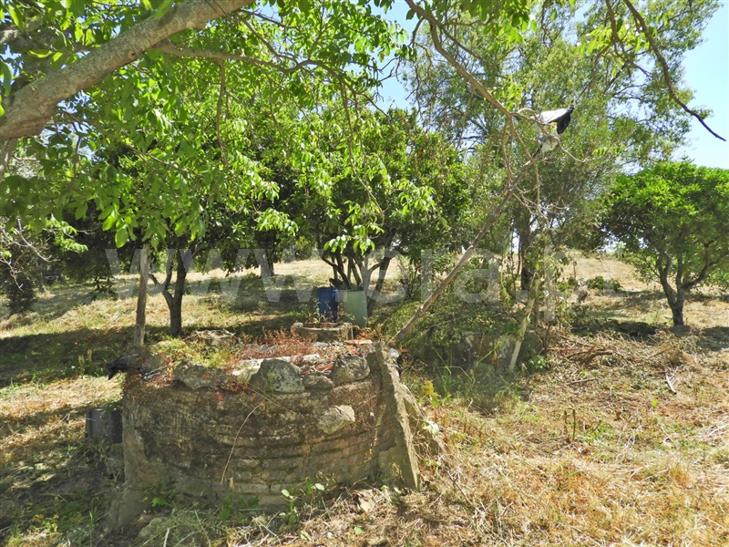 Moradia T2 Santarém, Póvoa de Santarém - 1405439 - 16