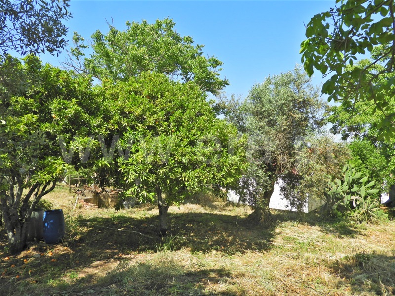 Moradia T2 Santarém, Póvoa de Santarém - 1405439 - 20