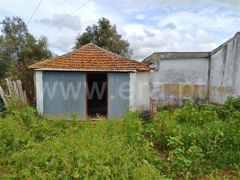 Moradia T2 Santarém, Tremês - 1472626 - 3