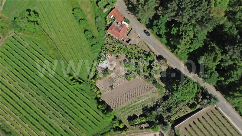 Moradia T2 Santo Tirso, Guimarei - 1324488 - 1