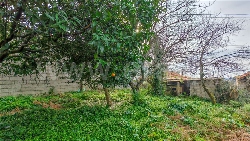 Moradia T2 Santo Tirso, Vila das Aves - 1348122 - 20