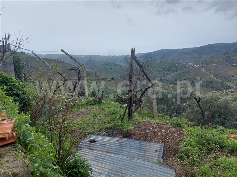 Moradia T2 São João da Pesqueira, Vale de Figueira - 1389143 - 11