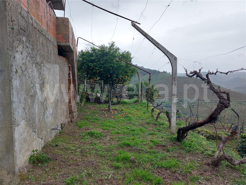 Moradia T2 São João da Pesqueira, Vale de Figueira - 1389143 - 13
