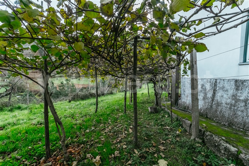 Moradia T2 Seia, Valezim - 1367513 - 4