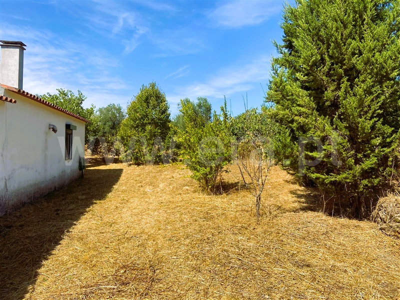 Moradia T2 Tomar, Paialvo - 1505864 - 6