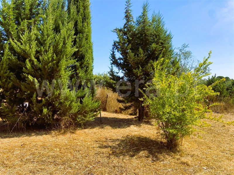 Moradia T2 Tomar, Paialvo - 1505864 - 7