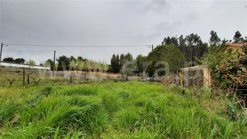 Moradia T2 Tondela, São Miguel do Outeiro e Sabugosa - 1244426 - 21