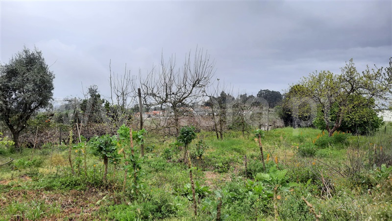Moradia T2 Tondela, São Miguel do Outeiro e Sabugosa - 1244426 - 23