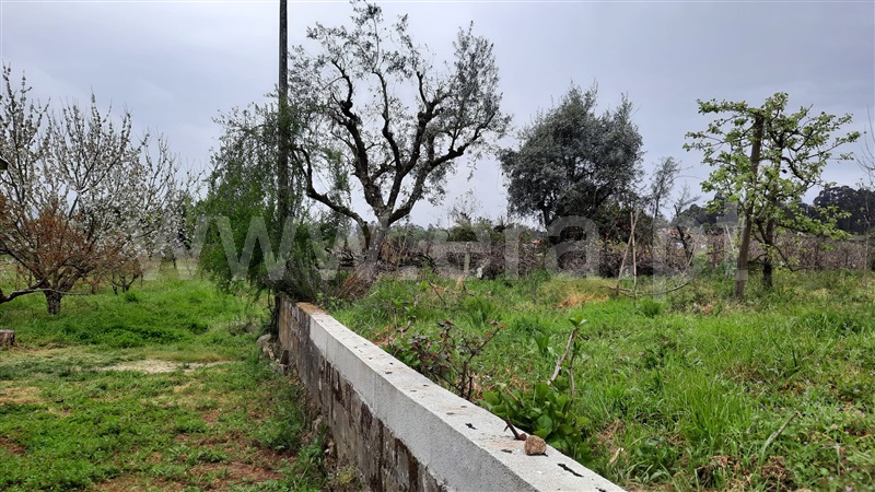 Moradia T2 Tondela, São Miguel do Outeiro e Sabugosa - 1244426 - 24