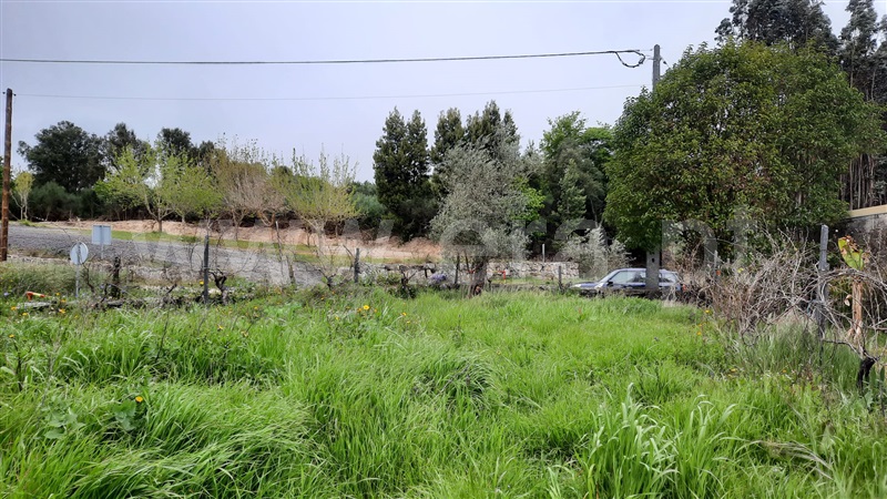 Moradia T2 Tondela, São Miguel do Outeiro e Sabugosa - 1244426 - 25