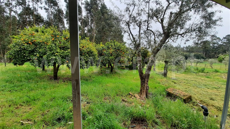 Moradia T2 Tondela, São Miguel do Outeiro e Sabugosa - 1244426 - 27