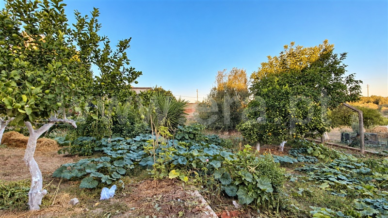 Moradia T2 à venda em Assentiz, Torres Novas — foto 12