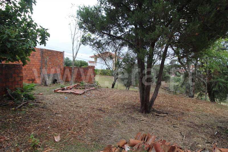 Moradia T2 Torres Novas, Pedrógão - 1435770 - 7