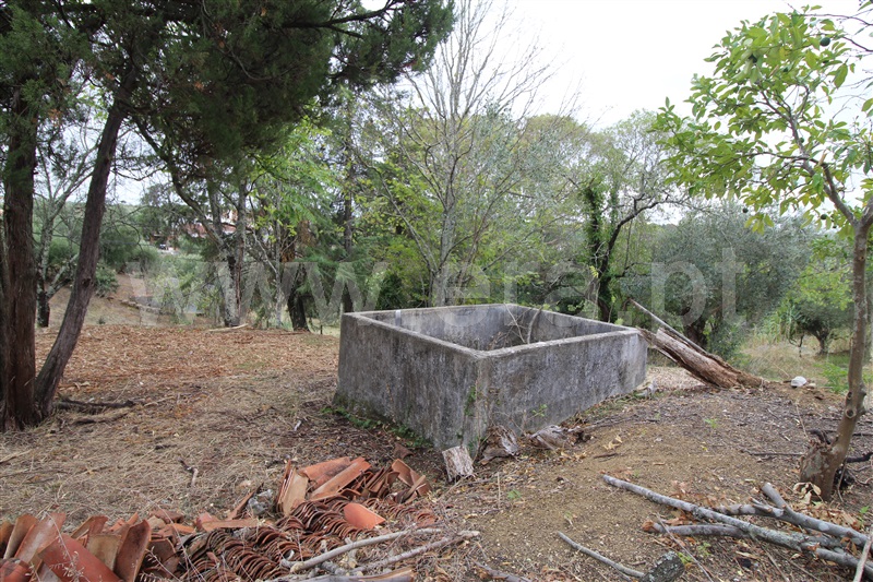 Moradia T2 Torres Novas, Pedrógão - 1435770 - 9