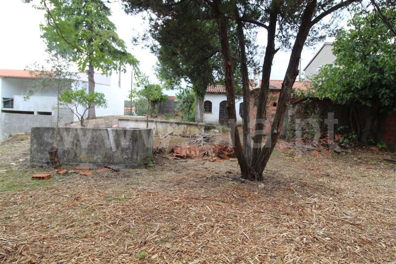 Moradia T2 Torres Novas, Pedrógão - 1435770 - 10