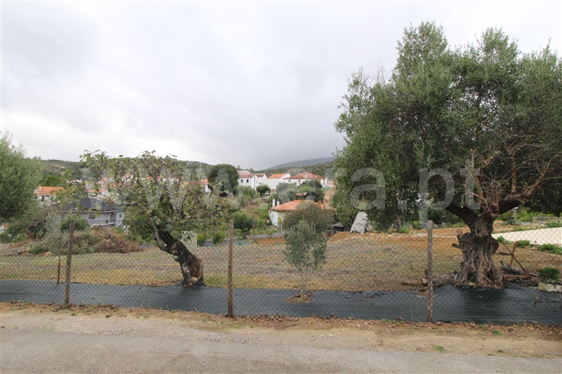 Moradia T2 Torres Novas, Pedrógão - 1435770 - 13
