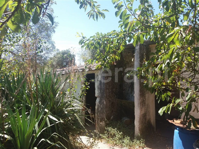 Moradia T2 Torres Novas, Zibreira - 940953 - 2