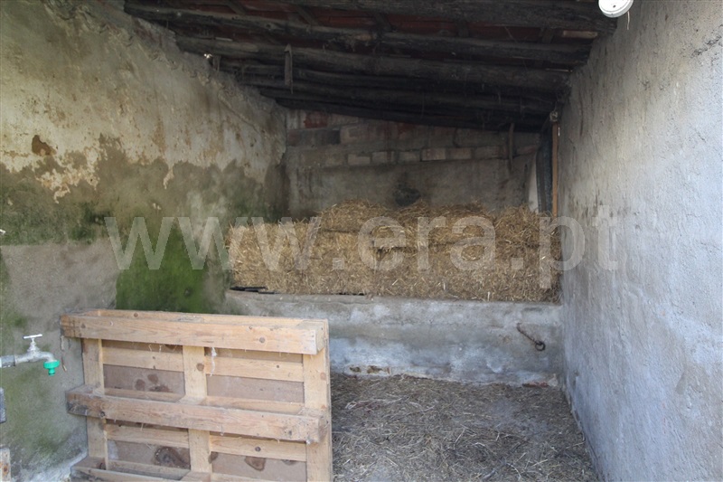 Moradia T2 Torres Vedras, São Pedro da Cadeira - 1225495 - 7